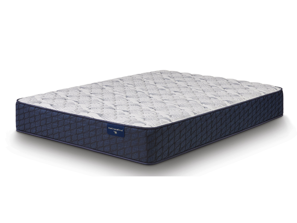 Chandy Bay Firm Mattress - Retreat Home Furniture